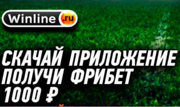«Винлайн» отлично подойдет новым игрокам. 