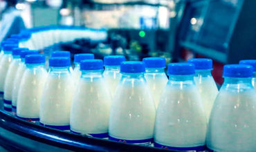 В Молдове на фоне роста импорта молочной продукции закрываются молокозаводы.
