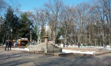 В настоящее время в муниципии Кишинев насчитываются более 1700 единиц выездной торговли.