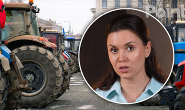 Наталья Морарь: Молдове нужен стабилизационный фонд для фермеров.