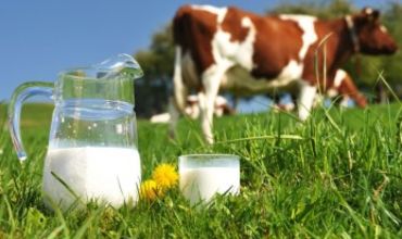 В нынешнем году цена на отдельные молочные продукты в странах Евросоюза выросла до исторического максимума.
