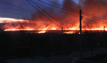 Огонь затронул земельный участок площадью около нескольких десятков гектаров.