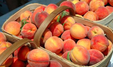 Всем известно, что фрукты — скоропортящийся продукт.
