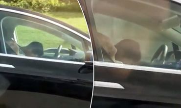 В США водителя Tesla засняли спящим за рулем, когда он мчался по трассе.