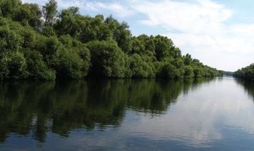 Молдаванин был пойман при незаконном пересечении границы через реку Прут.