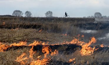 За сутки в Молдове сгорели почти 130 гектаров полей