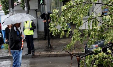 Сегодняшняя непогода: в Кишиневе упало 22 дерева.