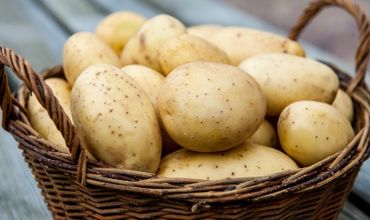 В мае цена на картофель выросла на 82%.