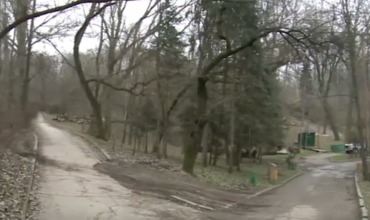 Фонари хотят заказать в Италии. Каждый обойдется в четыре тысячи леев.