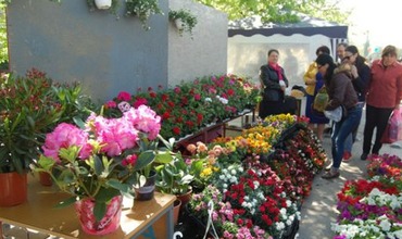 Выставка-ярмарка "Парад цветов" посвящена продвижению и поддержке цветоводов. Фото: trm.md.