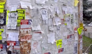 Власти предлагают решить проблему с незаконной рекламой, установив сетки вокруг столбов.