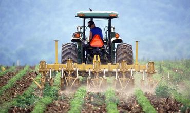 AIPA наладит сотрудничество с банками для реализации проекта авансового субсидирования.