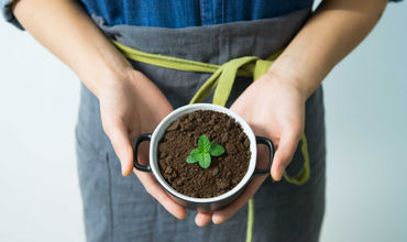 Cel mai bun îngrăşământ ecologic. Cum faci compost chiar dacă trăieşti la bloc. Foto: pexels.com