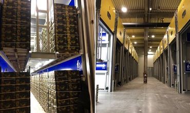 Новый центр созревания бананов открыт в Румынии.
