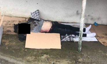 Жуткая находка была сделана в одном из дворов столицы на улице Сучевица.