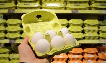 На предприятии по производству продуктов питания изъяты 20 тонн жидкого яйца с инсектицидом фипронил.