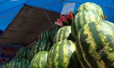 Торговцы уверяют, что дыни и арбузы, которые они продают, не содержат нитратов.