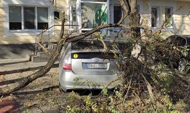 В центре Кишинева дерево рухнуло на припаркованный автомобиль.
