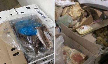 Фото ужасающих находок появилось в социальных сетях.