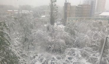 Служба чрезвычайных ситуаций настоятельно просит граждан оставаться дома.