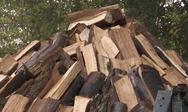 Несмотря на заверения Moldsilva, цены на дрова выросли.