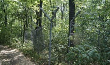 В распоряжении арендаторов находится около 7000 гектаров леса.