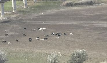 Площадь исчезнувшего озера составляет 110 га.