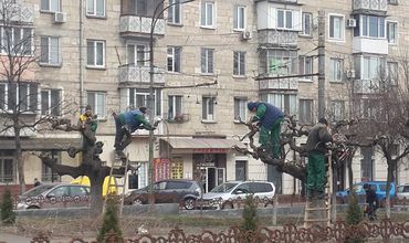 В столице проводится весенняя обрезка деревьев.