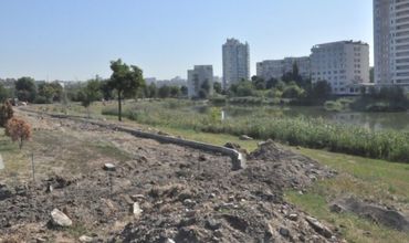 На столичной улице Албишоара обустроят аллею длиной 400 метров