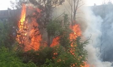 Ard crengile! Un nou incendiu de vegetație în Chișinău