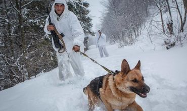 Сейчас гражданам Молдовы проставлен запрет въезда в Украину от 5 до 10 лет.