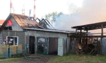 Собака спасла от гибели многодетную семью при пожаре в Свердловской области.