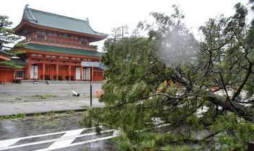 В Японии почти 400 авиарейсов отменили из-за тайфуна.