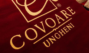 Covoare Ungheni является акционерным обществом, основанным в 1993 году.