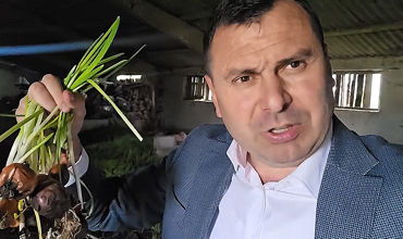 Десятки тонн лука гниют на складах фермеров в Негуренах.