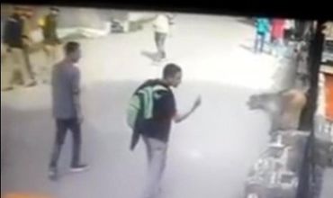 Обидевшись на неприличный жест, обезьяна напала на индийского юношу.