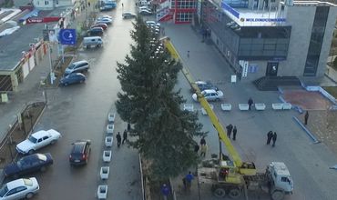 В Комрате установили 15-метровую ель стоимостью 20 тысяч леев
