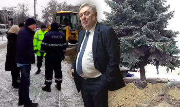 По решению Грозаву елку из центра Рышкановки пересадят на Чеканах.