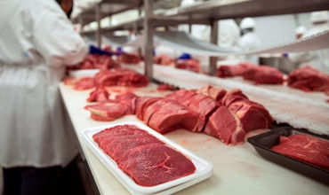 В 2023 году Молдова не экспортировала ни одного килограмма мяса.