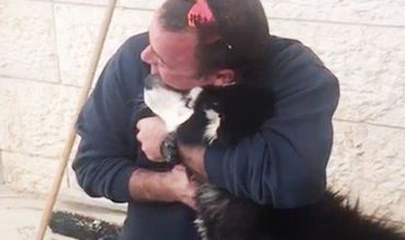 Потерявшаяся в Израиле собака cмогла отыскать своего хозяина благодаря своему умению петь и любви к популярной детской песне.
