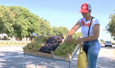 Сезон винограда завершится в первой половине сентября.