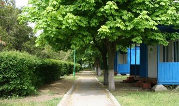 После отравления в лагере "Медик-2" проверят все молдавские учреждения отдыха в Одессе.