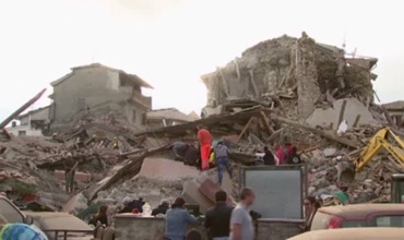 Щенок за несколько минут до начала подземных толчков разбудил всю семью.