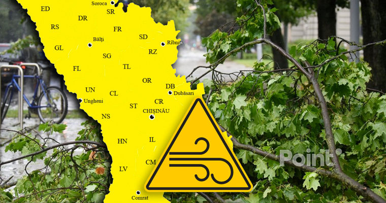 В Молдове объявлено метеопредупреждение в связи с усилением ветра.
