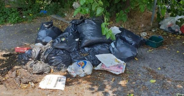 Молдаванин получил в Италии внушительный штраф за выброс мусора в неположенном месте.