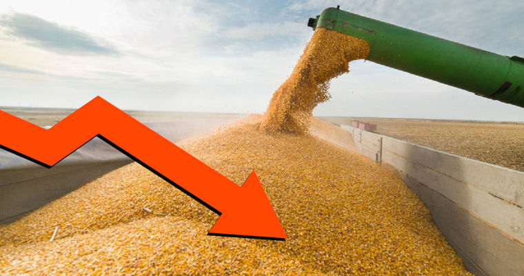 В Молдове цены на сельхозпродукцию в 2023 году снизились в среднем на 17,8%.
