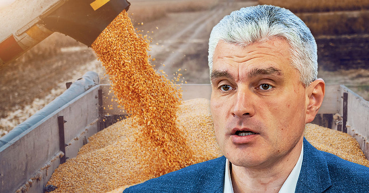 Слусарь об ограничении импорта зерна: Потери фермерам никто не вернет. Коллаж: Point.md
