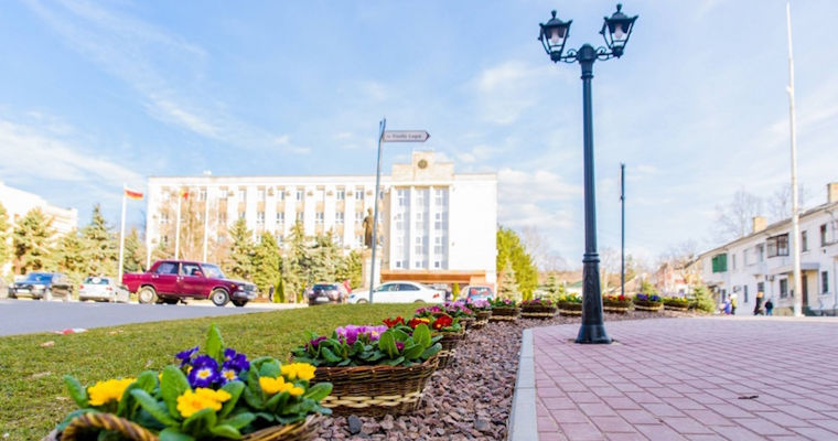 В Оргееве за пост примара будут бороться 10 кандидатов.