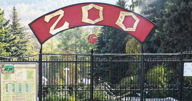 Сотрудники зоопарка об администраторе: Отправляет животных на бойню.
