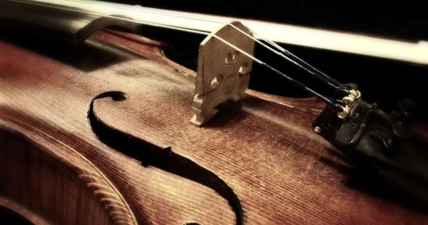 O vioară care a aparţinut lui Albert Einestein, vândută la licitaţie